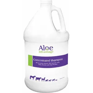 Aloe Advantage: Concentrated Shampoo with Aloe Gal